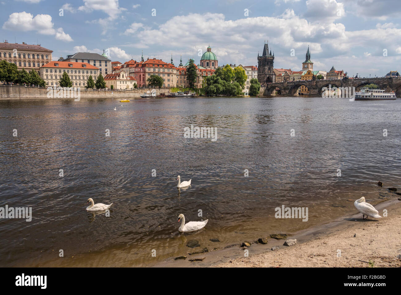 Alte Stadt und Charles Brücke und Schwäne am Fluss Moldau in Prag. Stockfoto Alte Stadt und Charles Brücke und Schwäne am Fluss Moldau in Prag. Stockfoto
