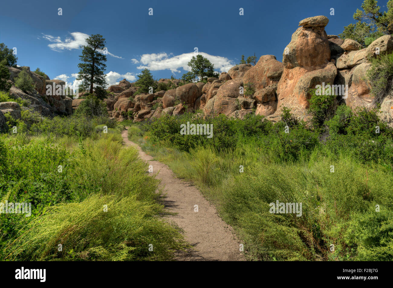 Der Anfang des Weges in Penitente Canyon in der Nähe von La Garita Colorado Stockfoto