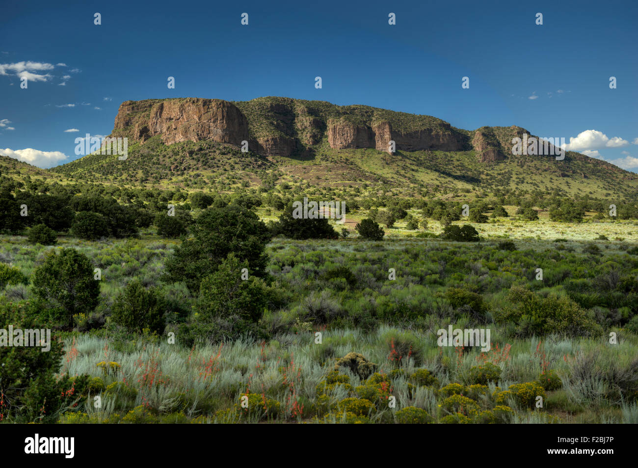 Eagle Rock, am Rande der La Garita Berge in der Nähe von La Garita, Colorado Stockfoto