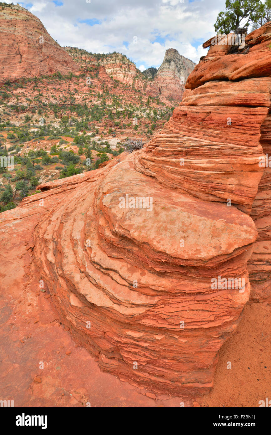 Blick entlang der Parkstraße, Highway 9, im Osten Canyon von Zion Nationalpark im Südwesten von Utah Stockfoto