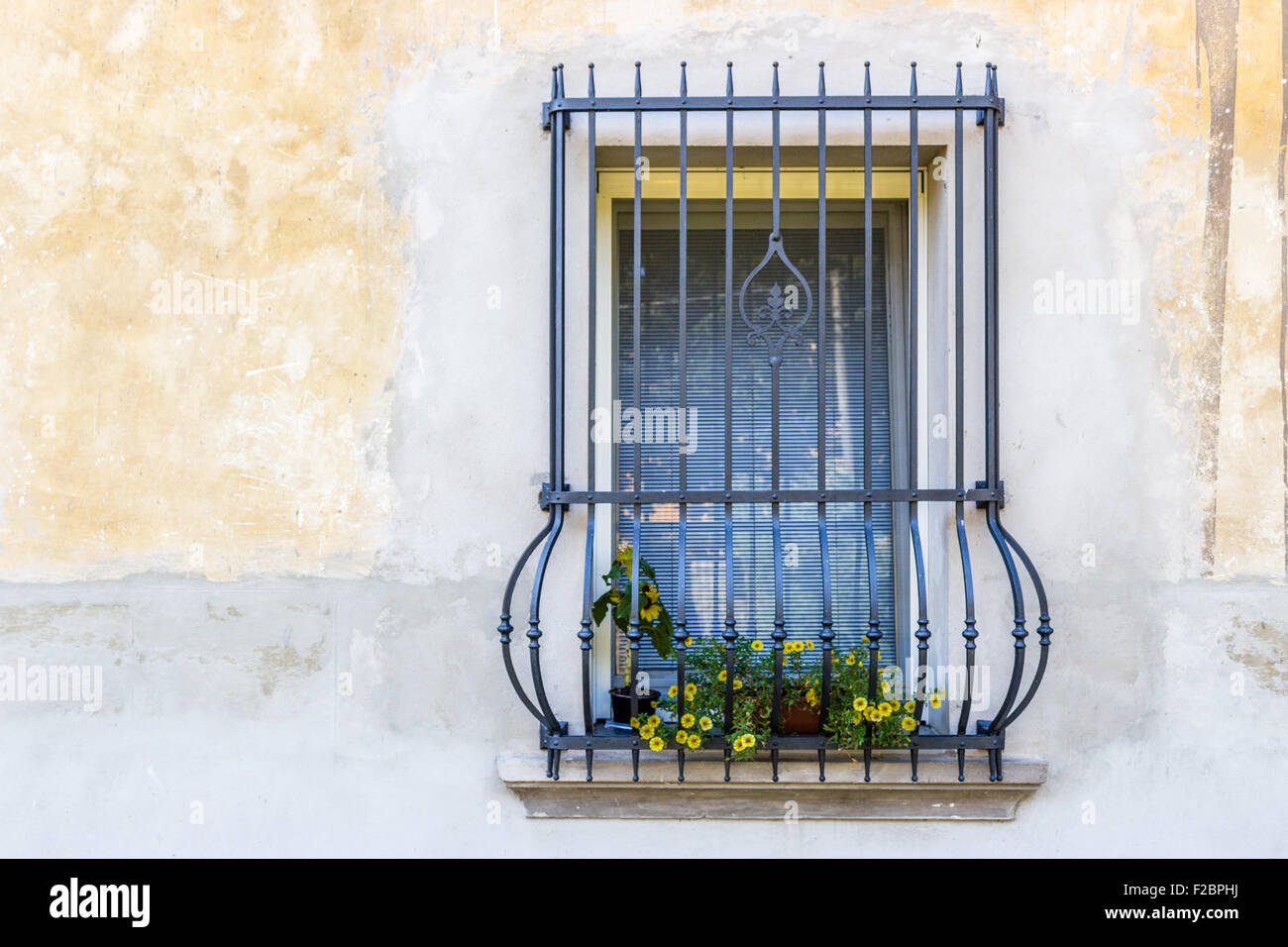 Fenster mit Vintage schwarze Geländer und Töpfe mit gelben Blüten, eine kleine Sonnenblume und einige Calibrachoa Millionen Glocken Stockfoto