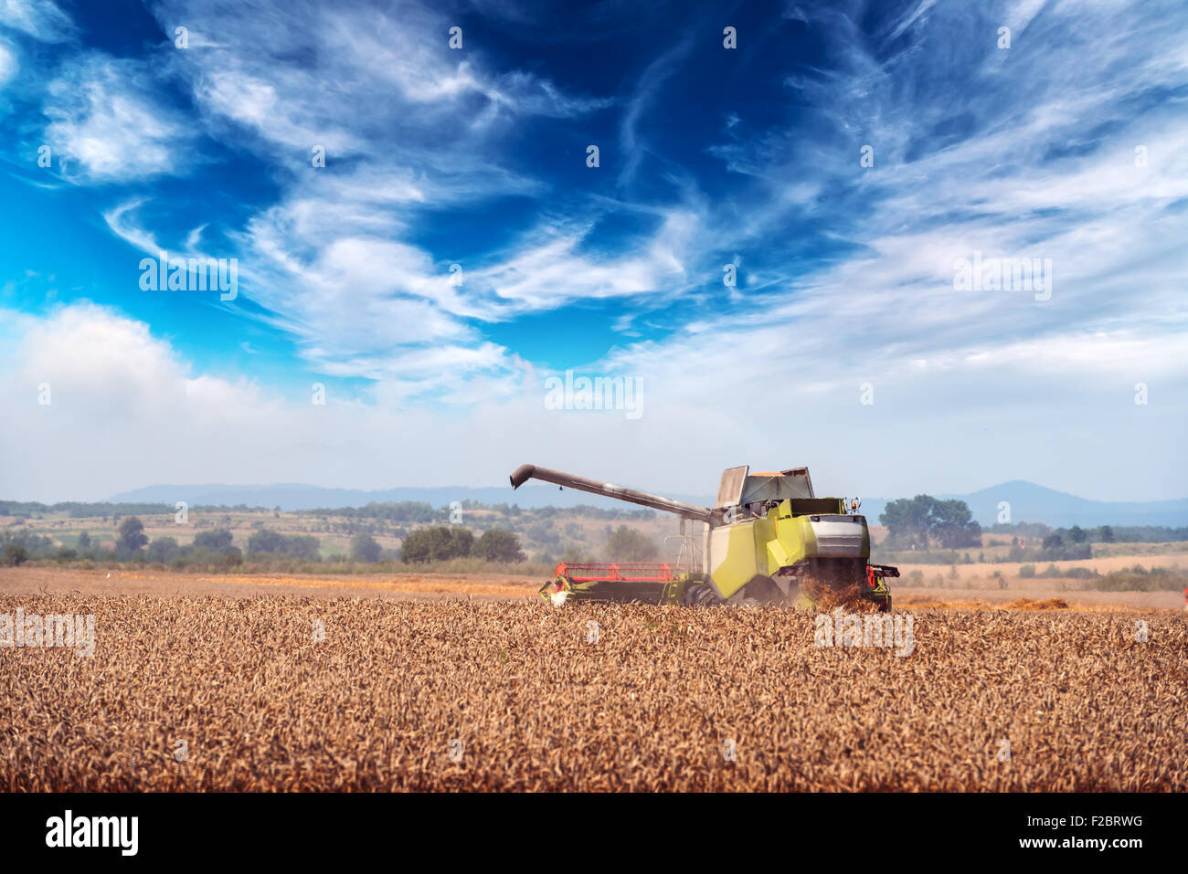 Erstaunliche Ländliches Motiv auf Herbst Feld mit Harvester und Vögel. Stockfoto