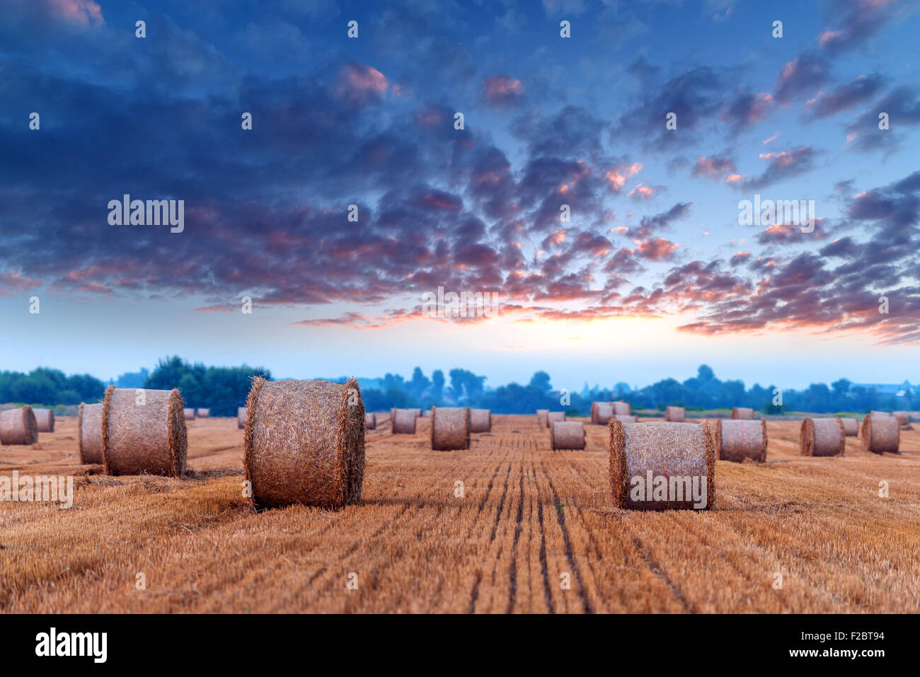 Erstaunliche Ländliches Motiv auf Herbst Feld mit Stroh Rollen und dramatische Abendlicht. Stockfoto