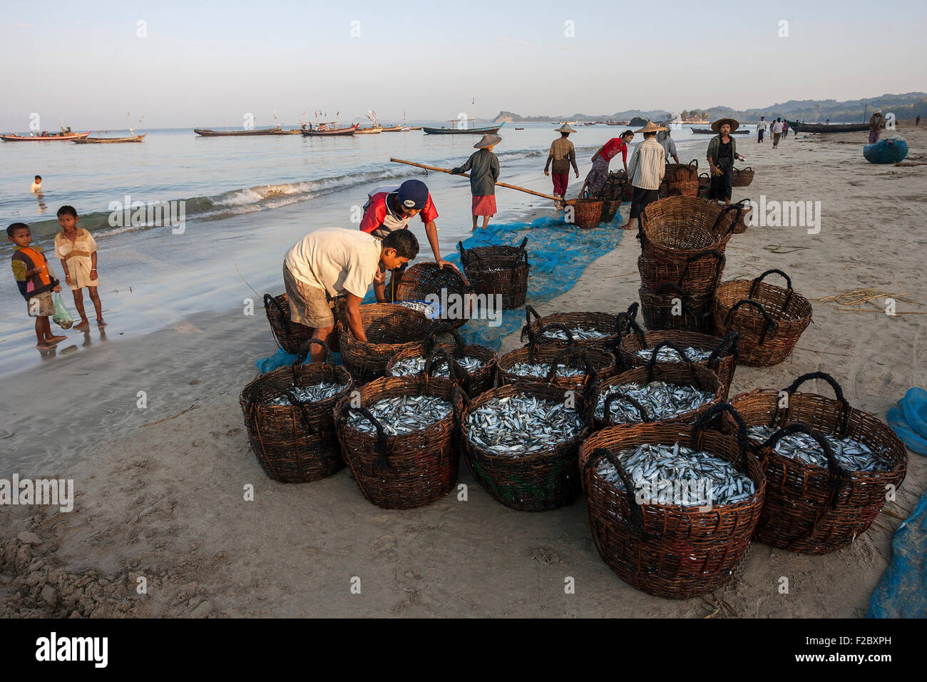 Ureinwohner, die Körbe mit frisch gefangenen Fisch am Strand des Fischerdorfes Ngapali herumstehen Stockfoto