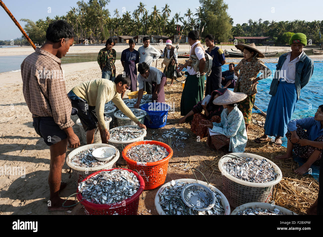 Ureinwohner herumstehen Körbe mit frisch gefangen Fisch am Strand des Fischerdorfes Ngapali, Thandwe, Rakhine State Stockfoto