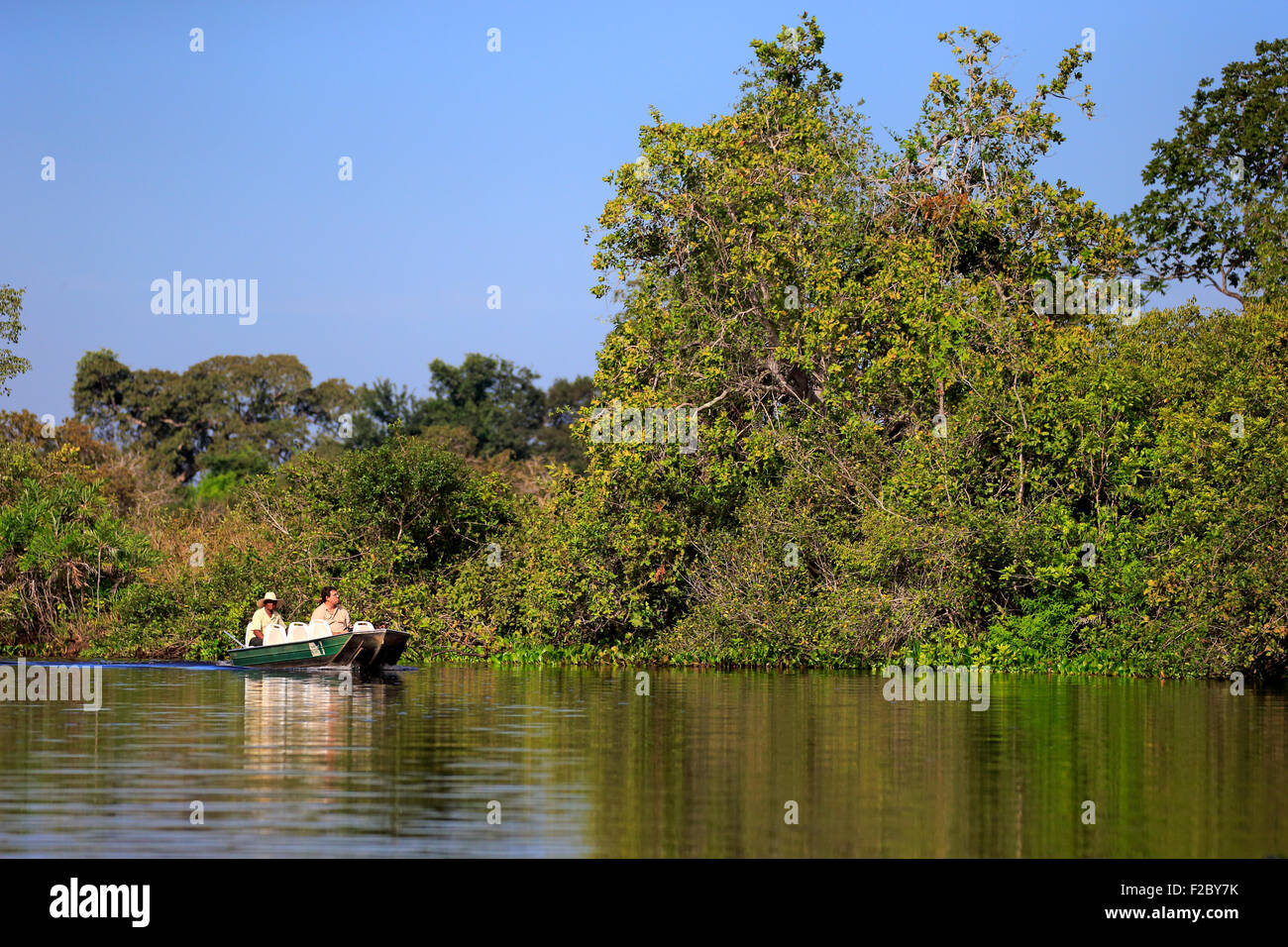 Touristen, Safari mit dem Boot auf dem Fluss Paraguai, Pantanal, Mato Grosso, Brasilien Stockfoto