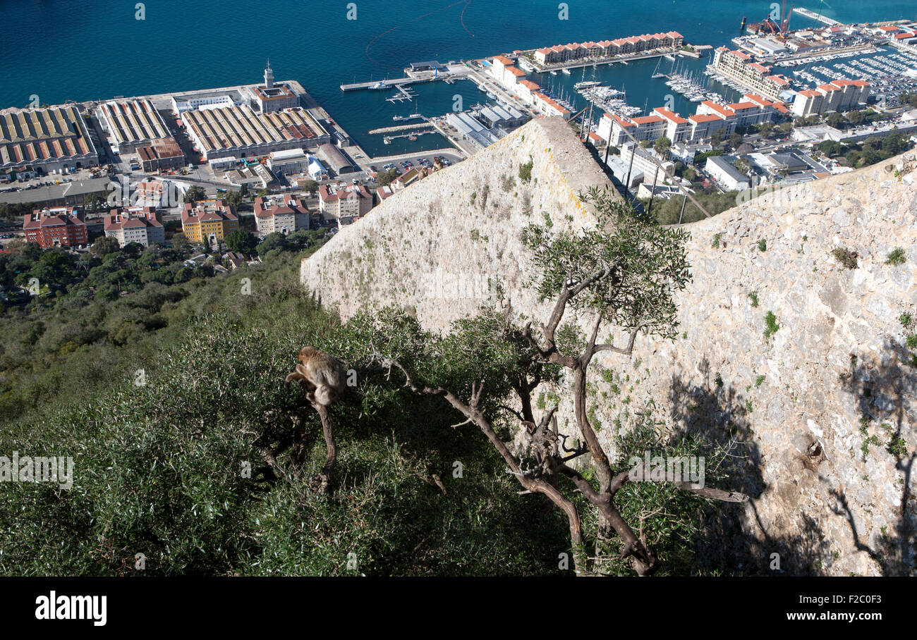 Der Charles V Wall Blick über Hafen und Werft Lager in Gibraltar, Britisches Territorium im Süden Europas Stockfoto