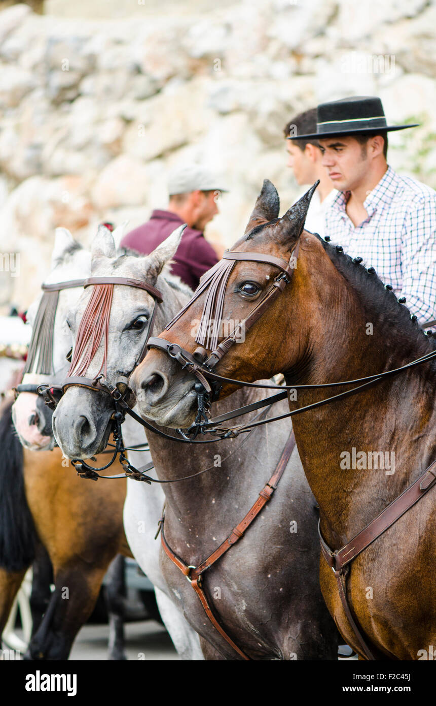 Männer auf Pferden Cordobes Hüte in traditioneller Tracht tragen, während der Feria von Mijas Andalusien, Spanien. Stockfoto