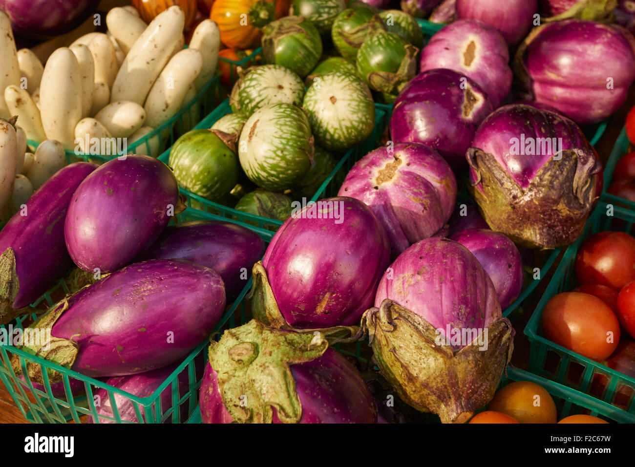 Verschiedene Sorten von Auberginen am Union Square Greenmarket, Manhattan, New York City, USA Stockfoto