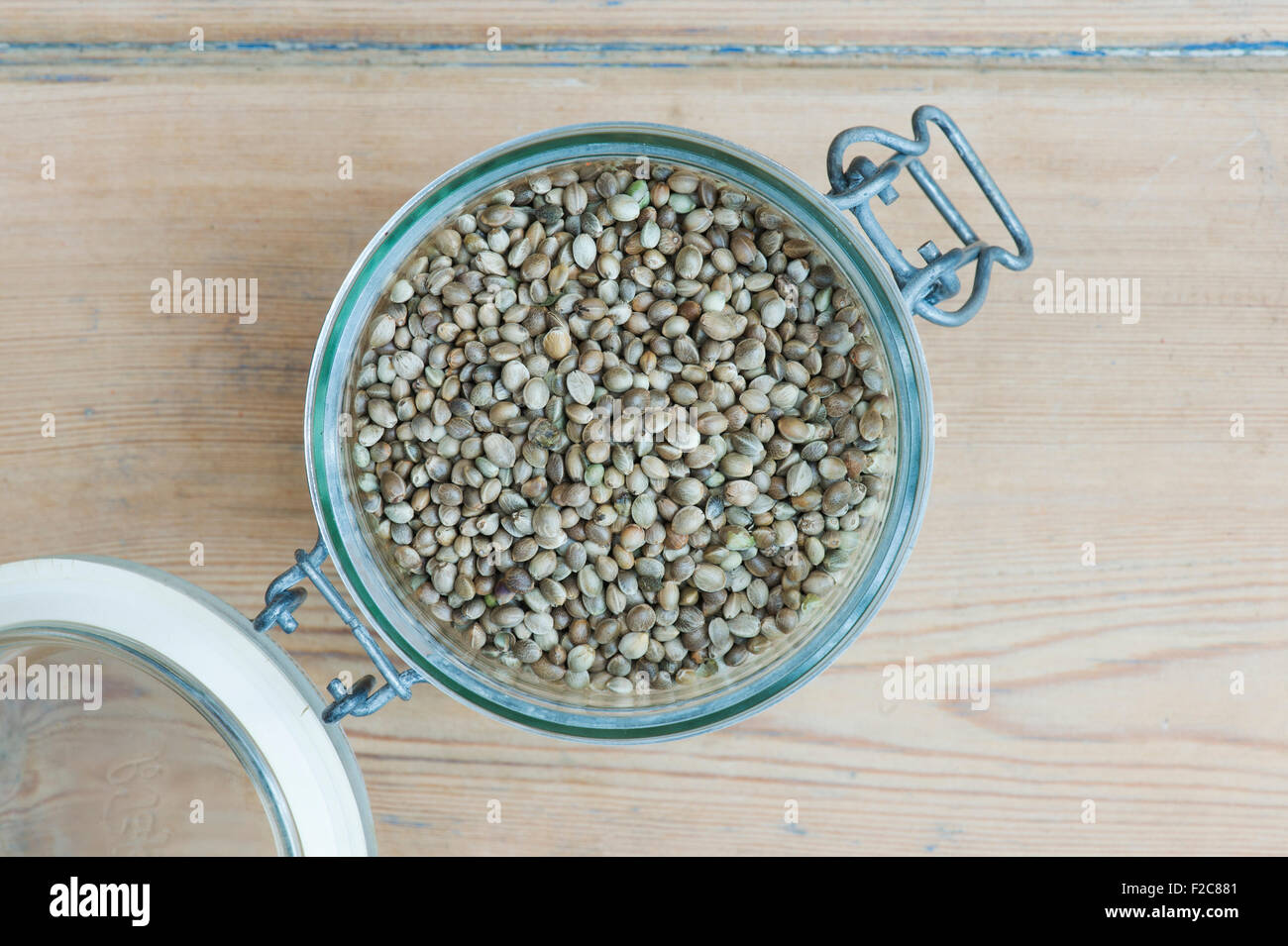 Cannabis Sativa. Hanf-Samen in ein Vorratsgefäß kilner Stockfoto