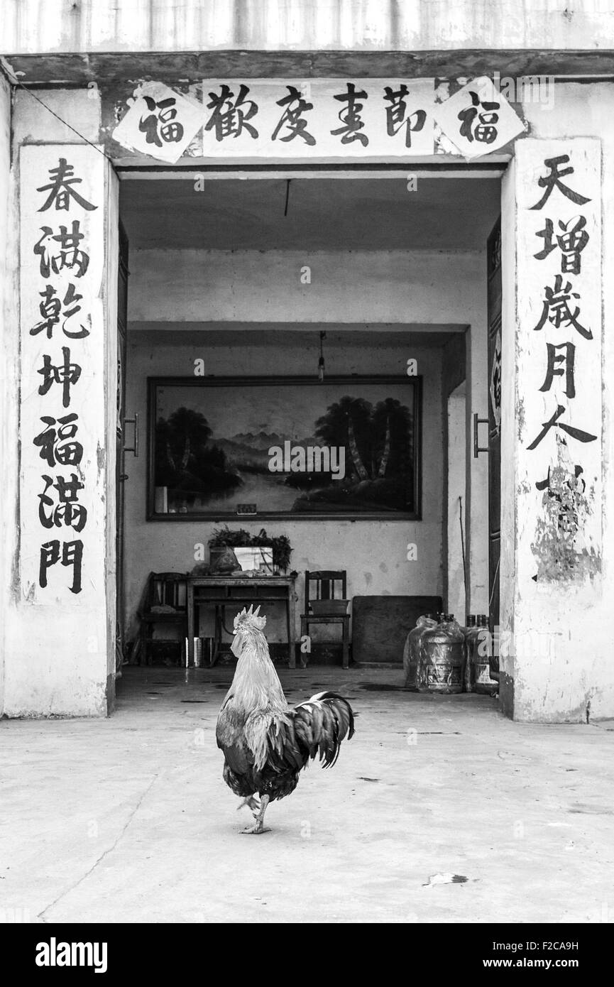 Zaozhuang, Shandong, CHN. 10. Dezember 2013. Zaozhuang, CHINA - 10. Dezember 2013: (Nur zur redaktionellen Verwendung. CHINA OUTï¼‰Zaozhuang, eine kleine Stadt war früher berühmt für Kohlen, Zement und dem zweiten Weltkrieg. Die Alterung Eisenbahn und abnehmende Kohlen wurde ein Engpass, und es konzentriert sich auf Übergangs der Reisebranche. Werfen Sie einen Blick auf innerhalb und außerhalb von Zaozhuang. © SIPA Asien/ZUMA Draht/Alamy Live-Nachrichten Stockfoto