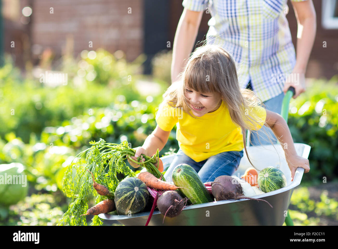 kleine lustige Mädchen innen Schubkarre mit Gemüse im Garten Stockfoto