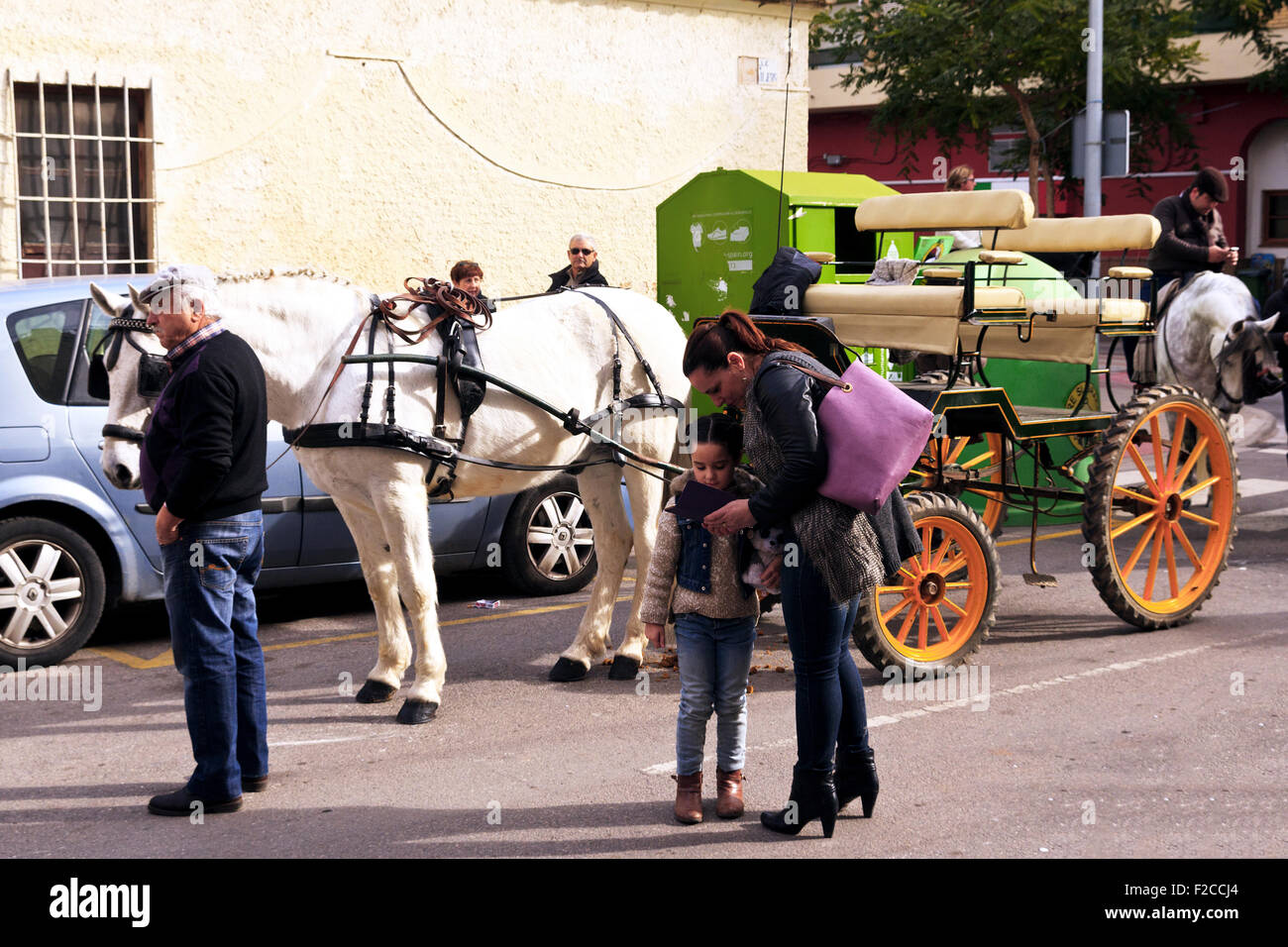 Weiße spanische Pferd und Wagen zur Segnung der Tiere-Festival-Eröffnung parade in Nules, Spanien Stockfoto