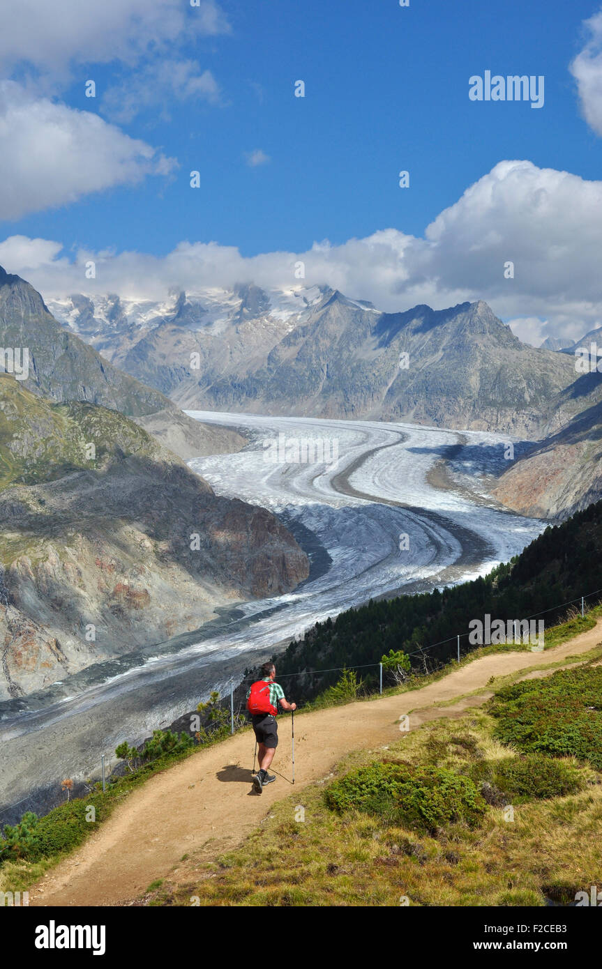 Wanderer bei Hohfluh und Grossen Aletschgletschers, Wallis, Schweiz Stockfoto