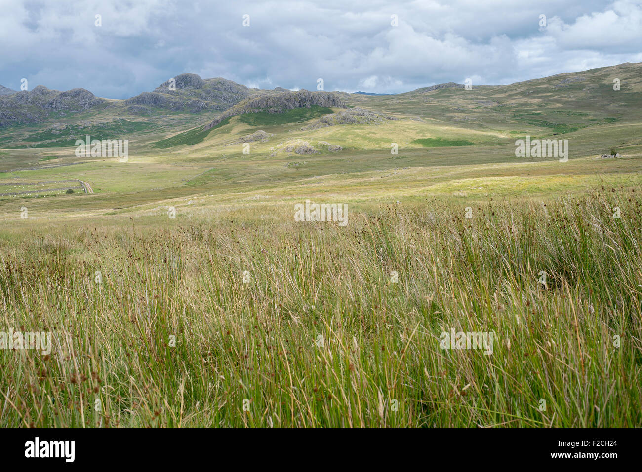 In der Nähe von Devoke Wasser im englischen Lake District National Park Blick östlich von Austhwaite Stirn. Stockfoto