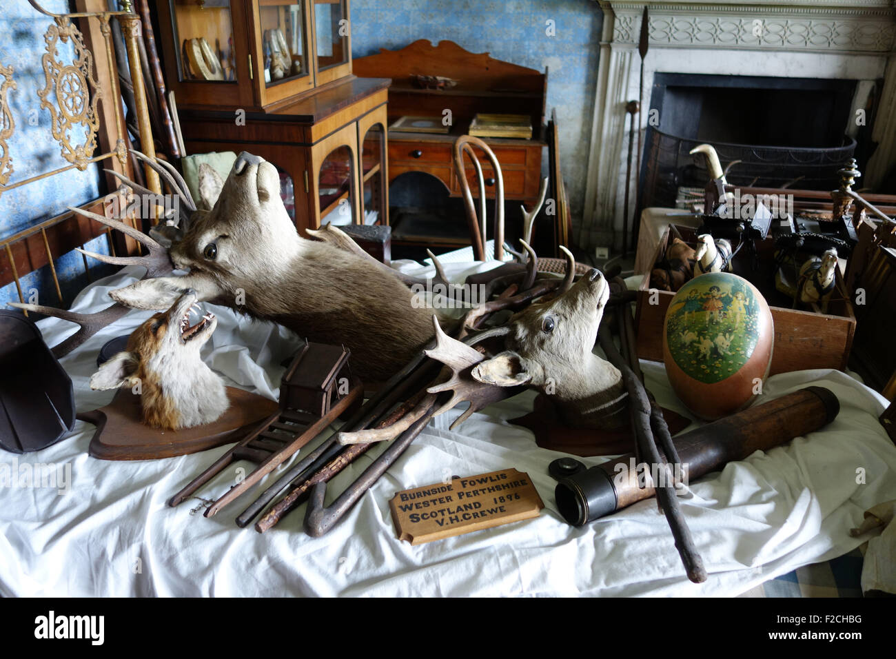 Rumpelkammer alte merkwürdige Objekte ausgestopfte Tiere Tierköpfe Hirsch Reh Sammlung Calke Abbey Stockfoto