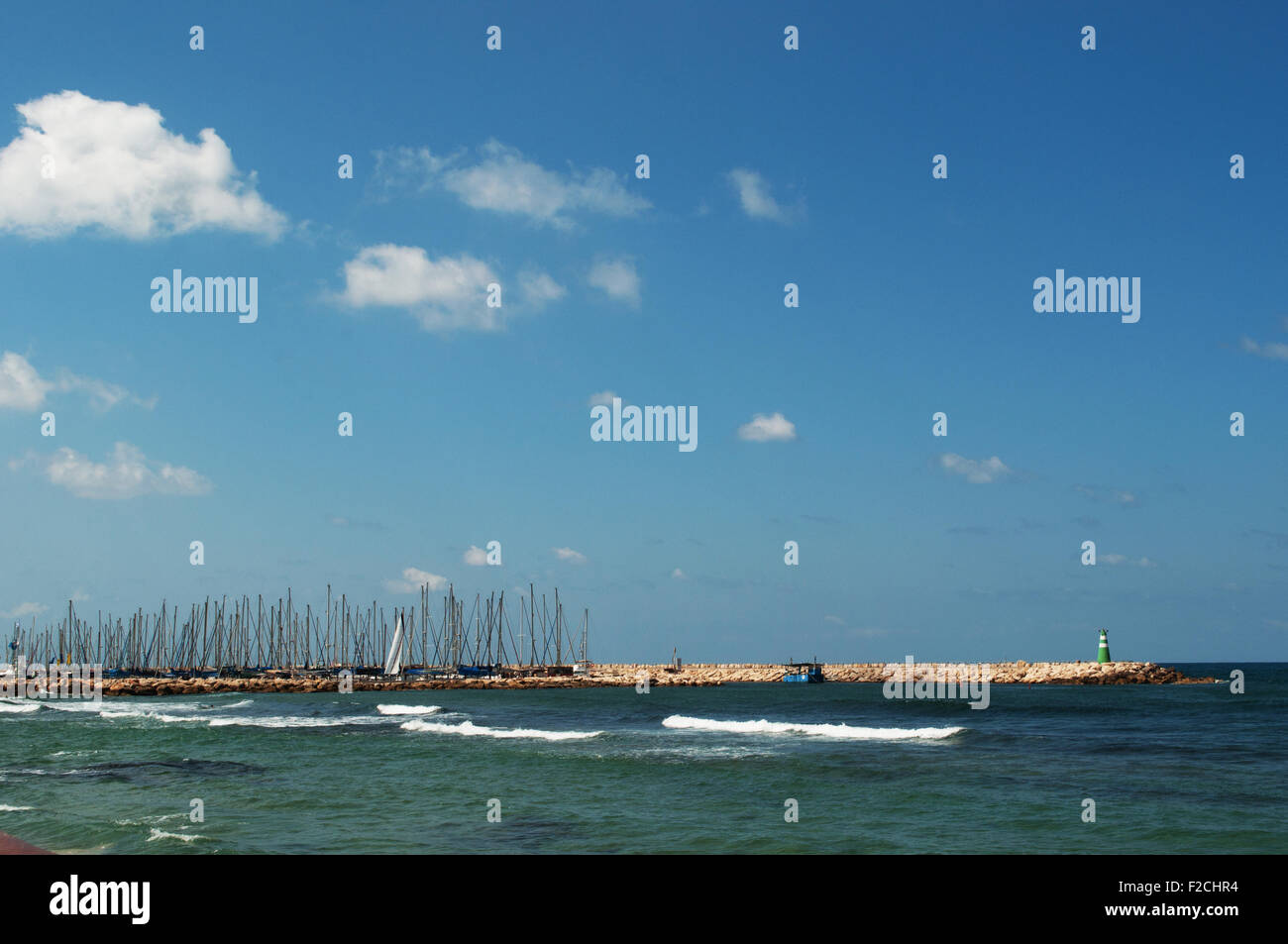 Sommer in Tel Aviv Yafo, Jaffa, Israel, Mittelmeer Stockfoto
