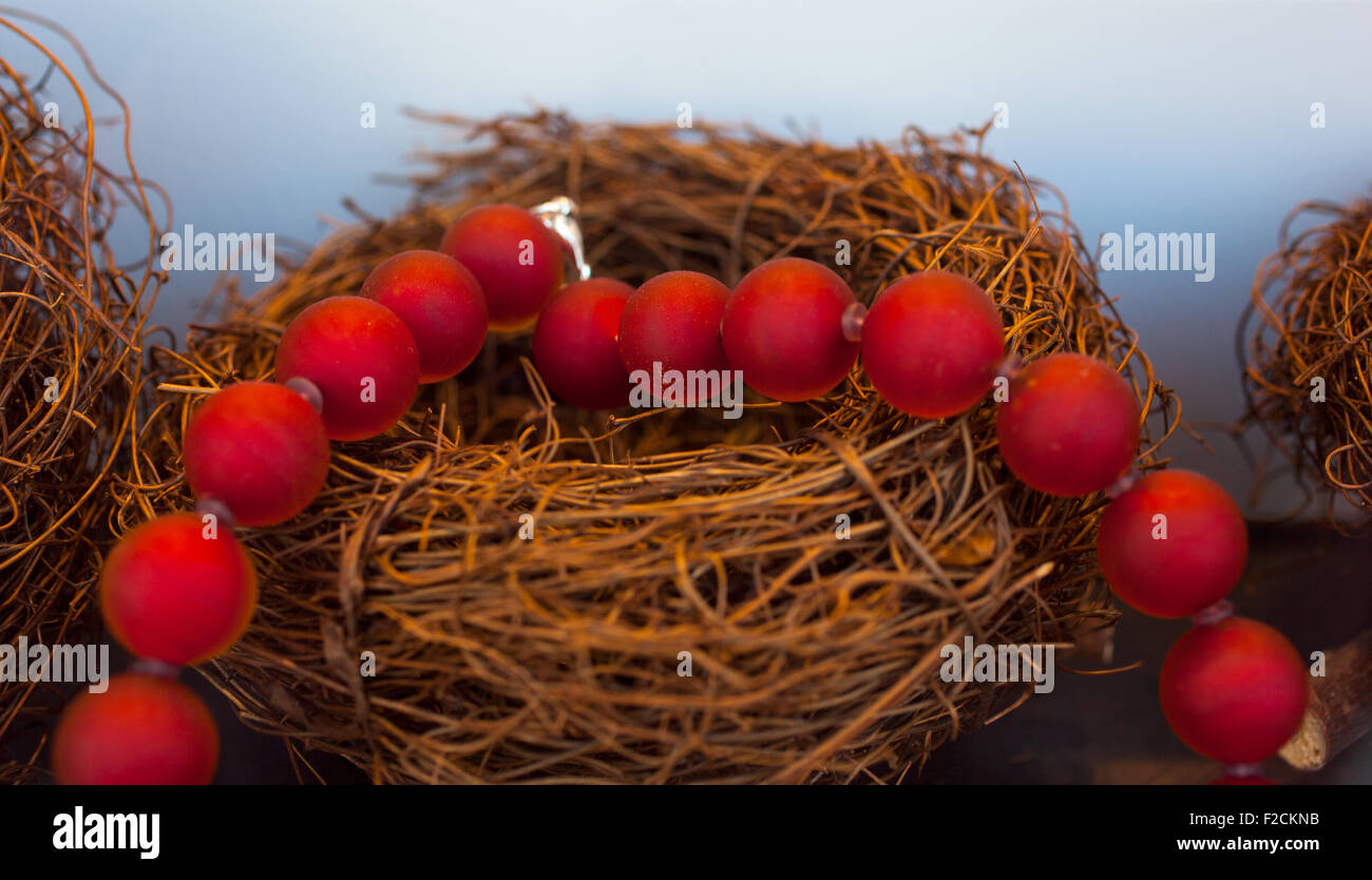 Nahaufnahme von roten Perlen Halskette auf nest Stockfoto
