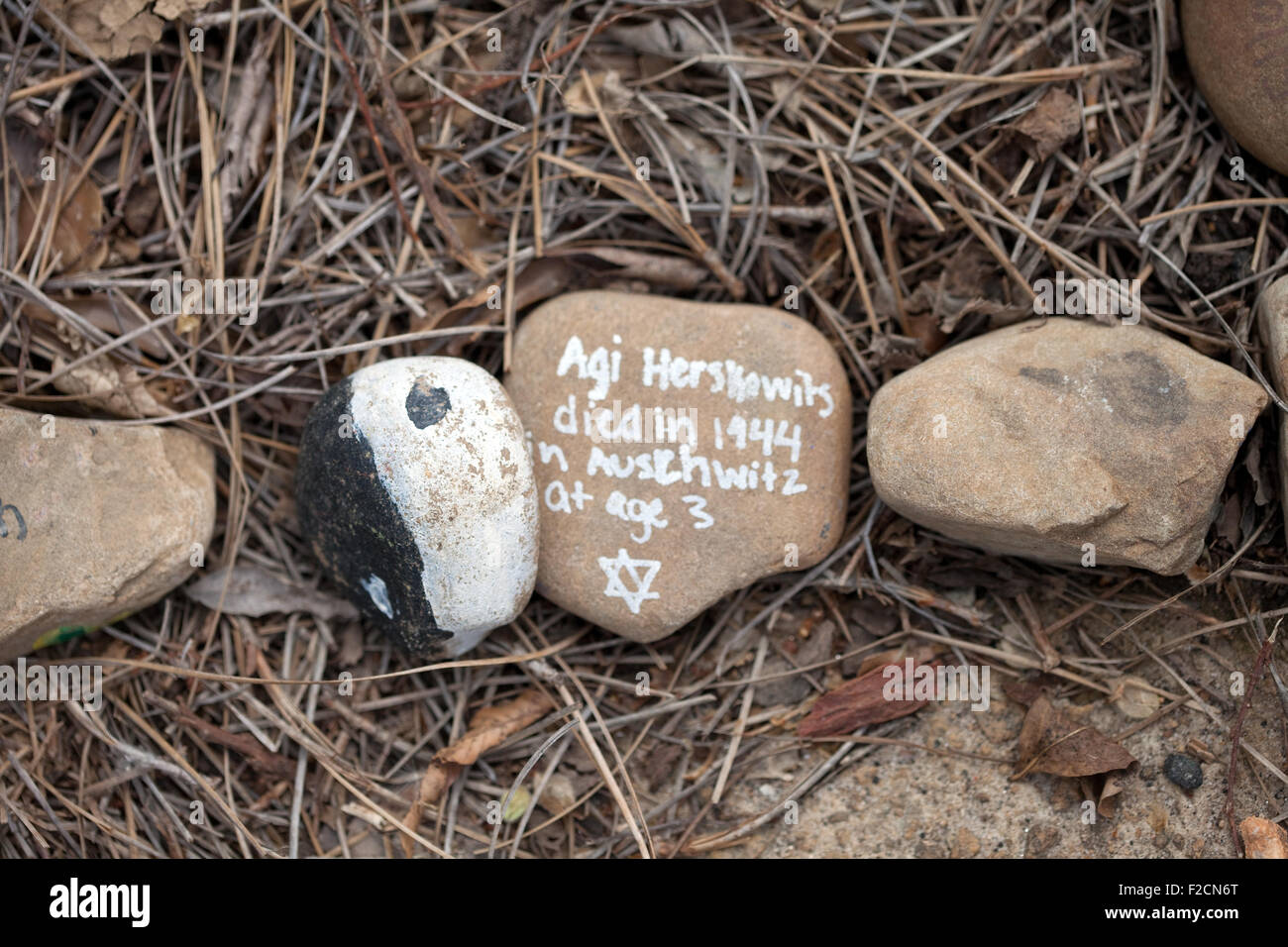 Cairns Steinen außen William Breman Jewish Museum Atlanta Georgia Vereinigte Staaten Stockfoto