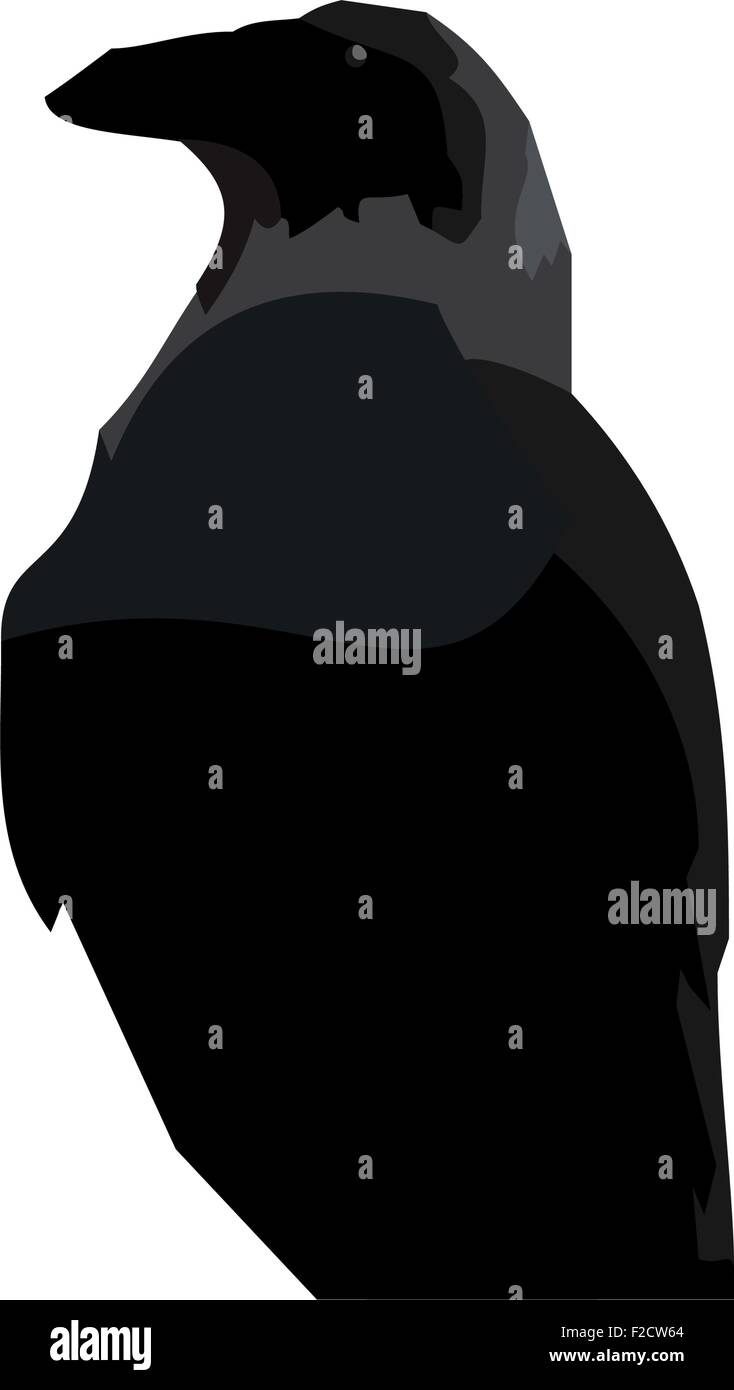 Realistische Illustraton schwarzer Rabe Stock Vektor
