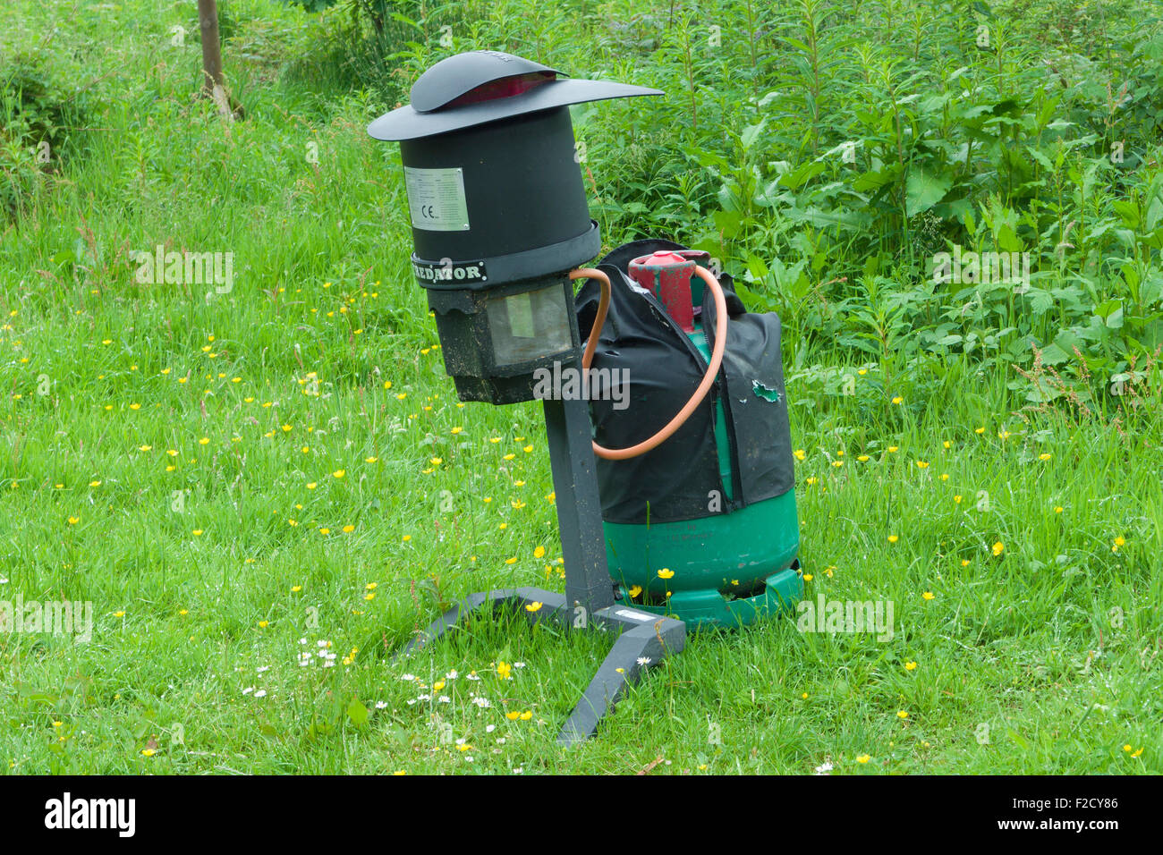 Outdoor Midge-Killer, Großbritannien Stockfoto