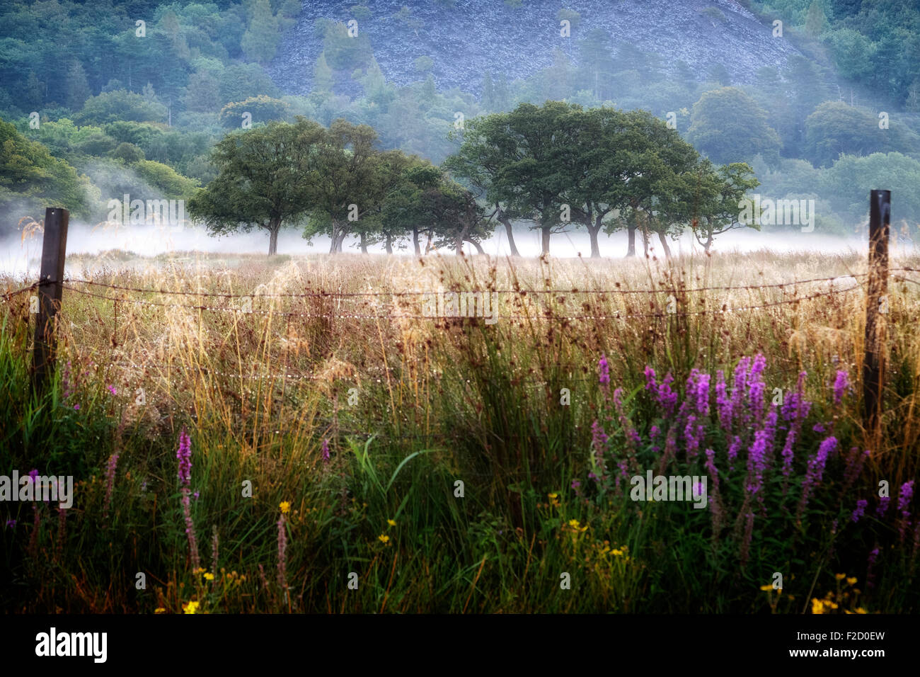 ländliche Landschaft in Snowdonia, Wales, Vereinigtes Königreich Stockfoto