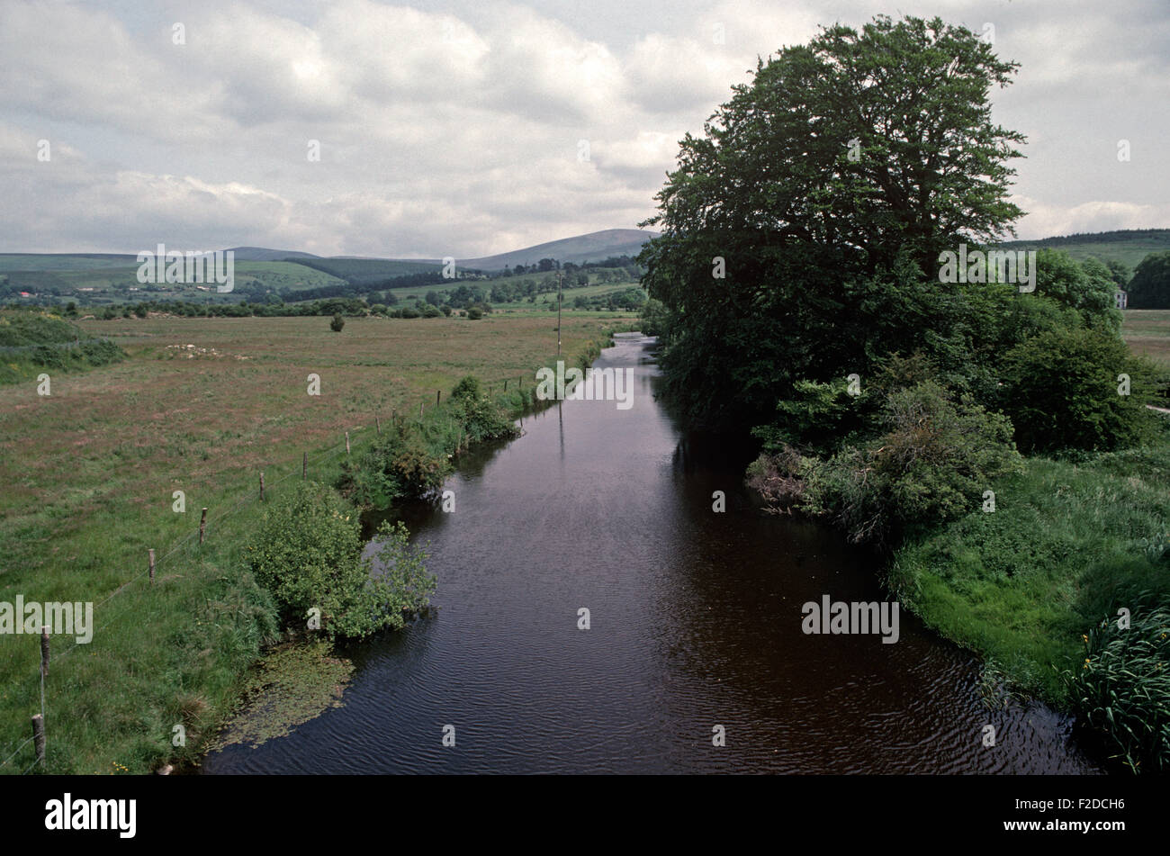 Fluss Liffey in der Nähe der Quelle, County Wicklow, genannt, in James Joyce "Finnegans Wake" Anna Livia Plurabelle Whoes Name verkörpert den Fluss, Irland Stockfoto