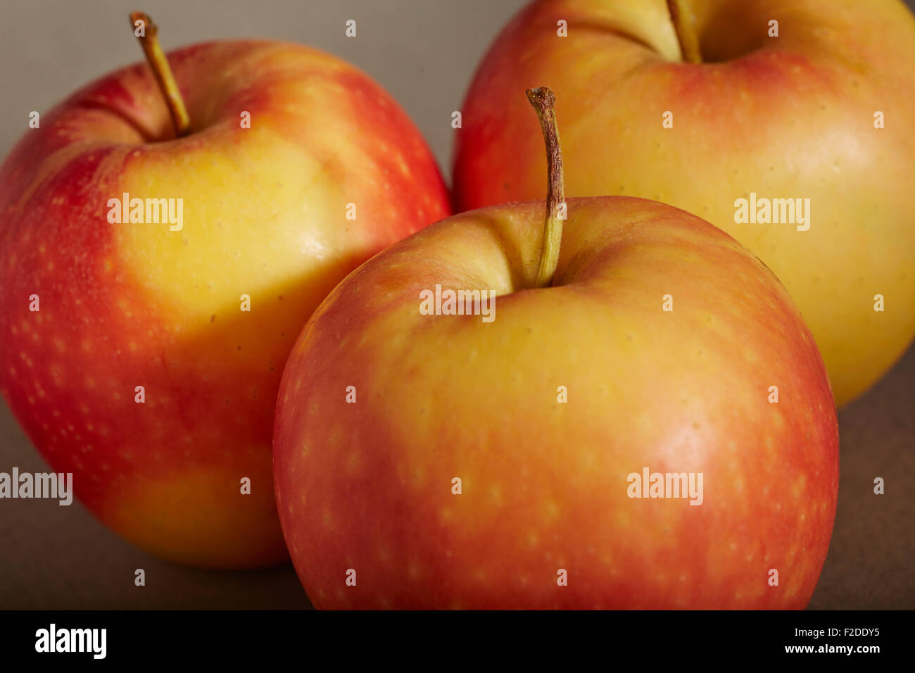 Gala Äpfel Stockfoto