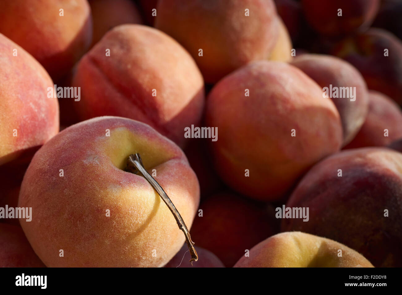 Frische Pfirsiche am Union Square Greenmarket, Manhattan, New York City, USA Stockfoto