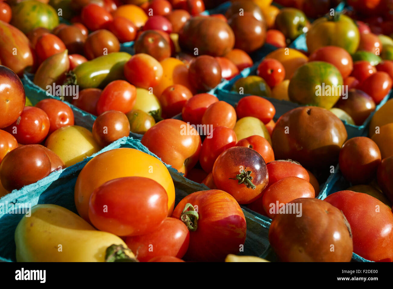 Erbstück Kirschtomaten an der Union Square Greenmarket, Manhattan, New York City, USA Stockfoto