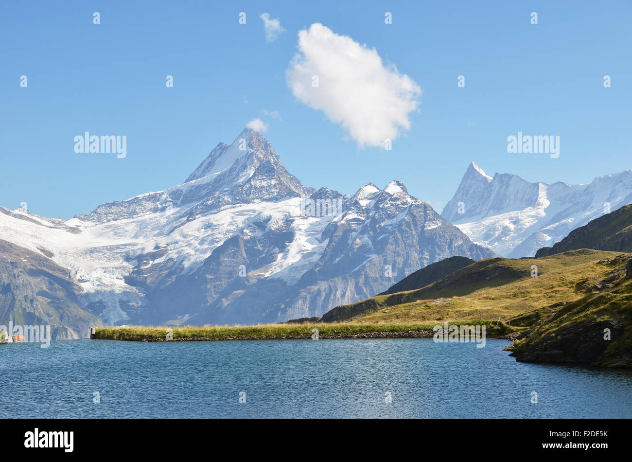 Bachalpsee-See im Berner Alpen Stockfoto