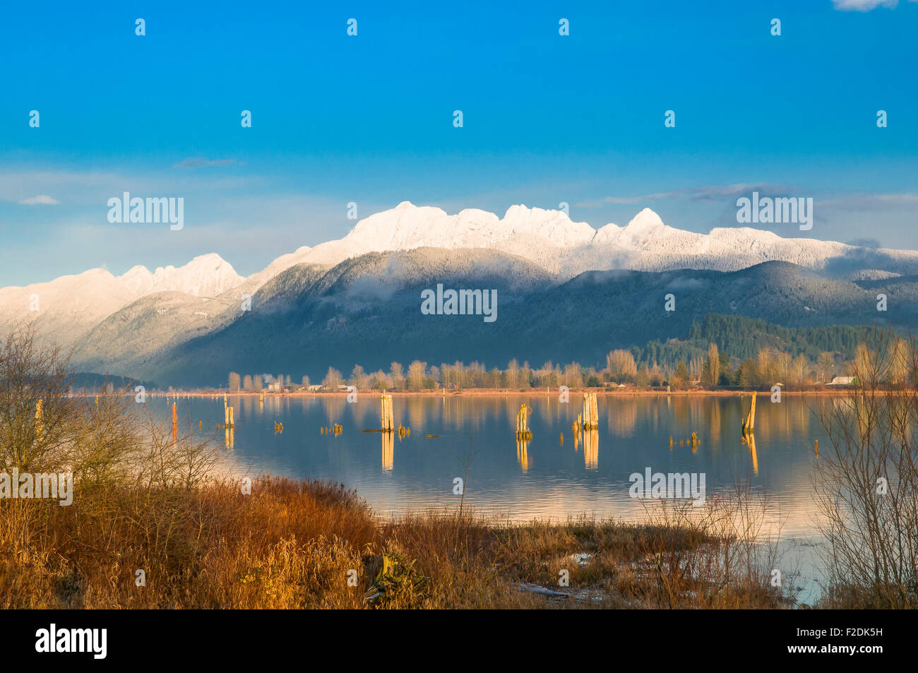 Pitt River, Coquitlam, Britisch-Kolumbien, Kanada Stockfoto