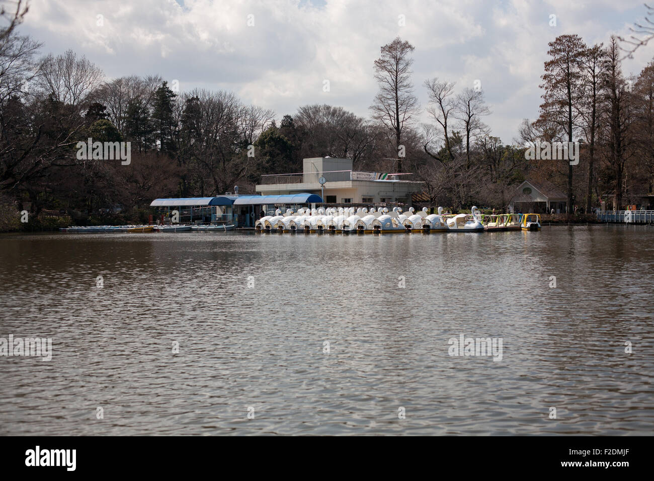 Swan-Boote-Ruderboote am See mit Bäume Wolken und blauer Himmel Hintergrund Wasser Raum untere Hälfte angedockt Stockfoto