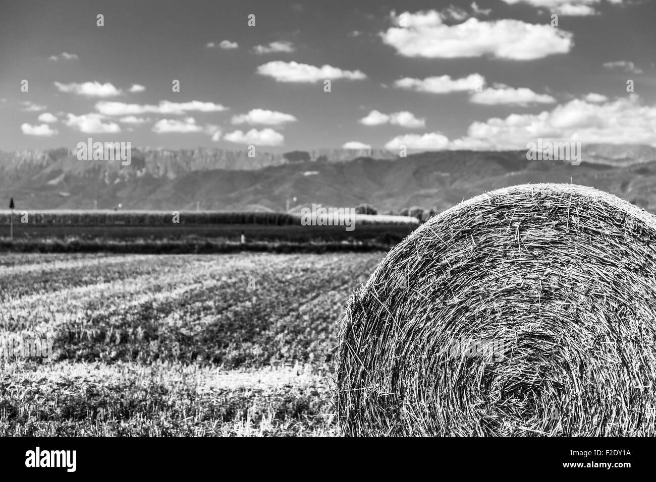 Sturm kommt auf einem Feld mit Heuballen Stockfoto