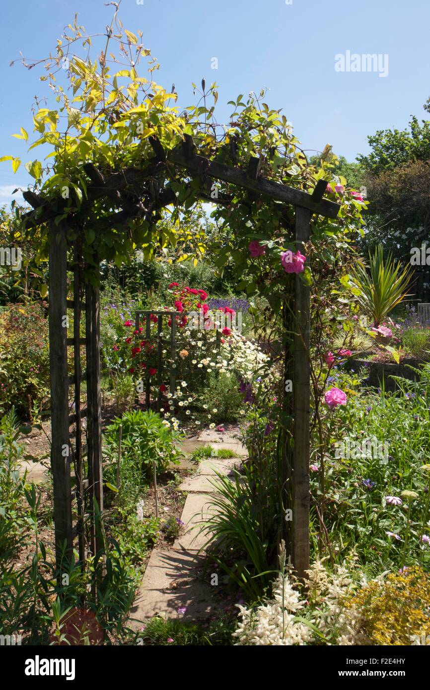 Rosen wachsen über einen Bogen in einem Cottage in Cornwall Garten an einem Sommertag Stockfoto