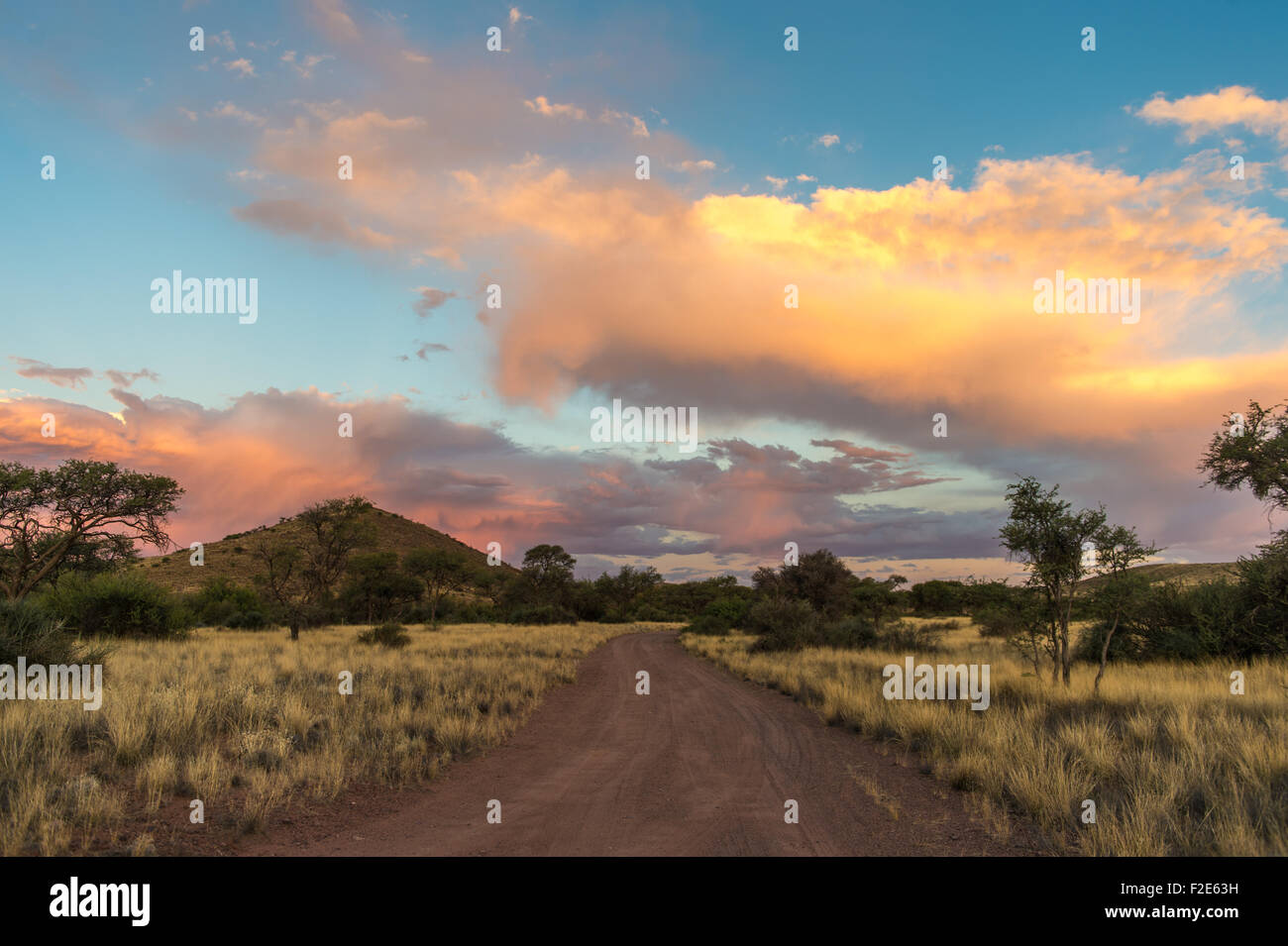 Feldweg mit Hügeln in der Ferne in der Abenddämmerung in Namibia, Afrika Stockfoto