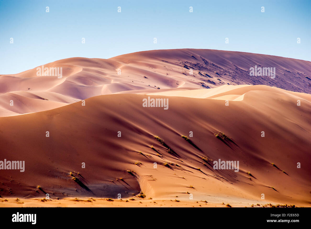 Massive Wüste Dünen im Sossusvlei, Namibia, Afrika Stockfoto