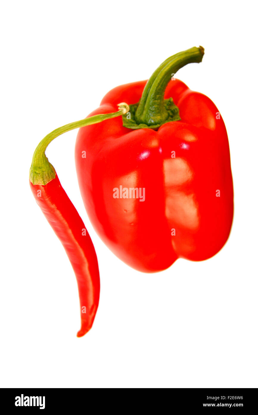 Chillyschote, Rote Papkrikaschote - Symbolbild Nahrungsmittel. Stockfoto