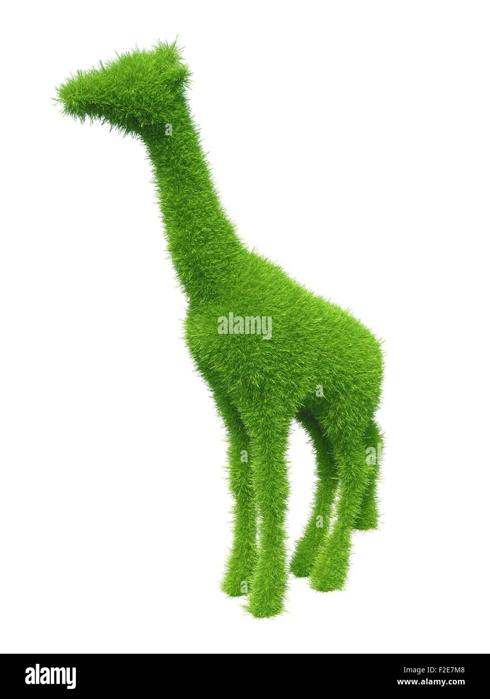 Grasgrün giraffe Stockfoto