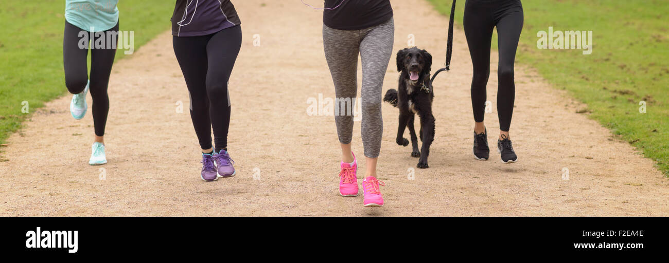 Beine von vier Frauen tragen Fitness Outfit, laufen im Park mit ihrer schwarzen Hund. Stockfoto