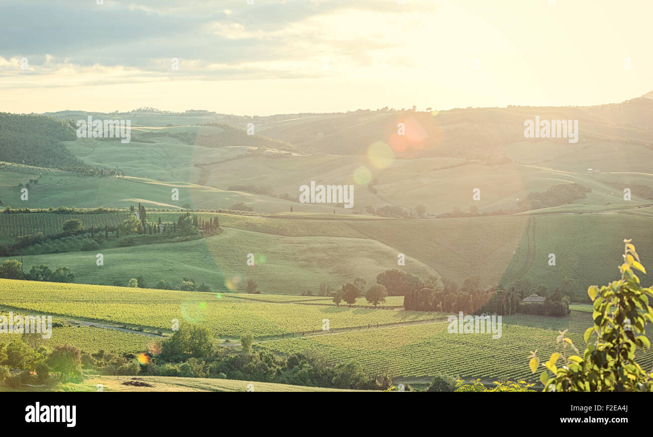 Typische Landschaft der Toskana mit Lens flare Stockfoto