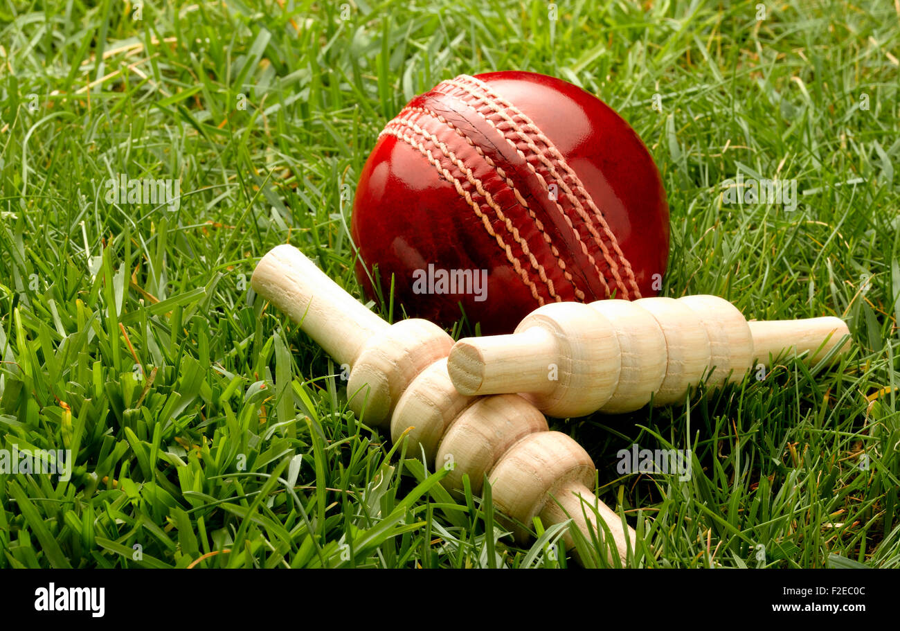 Cricketball und Bailes auf Rasen Stockfoto