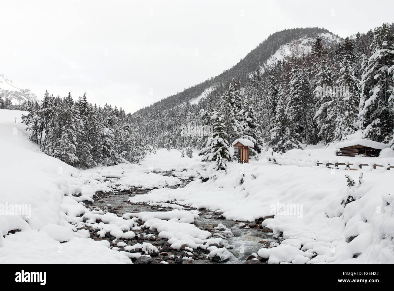 Eine alpine Stream, in den Schweizerischen Nationalpark Stockfoto