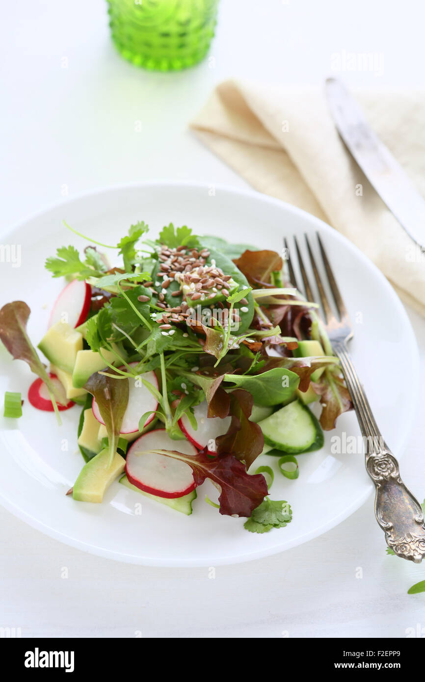 Salat mit Avocado und Rettich, Essen Nahaufnahme Stockfoto