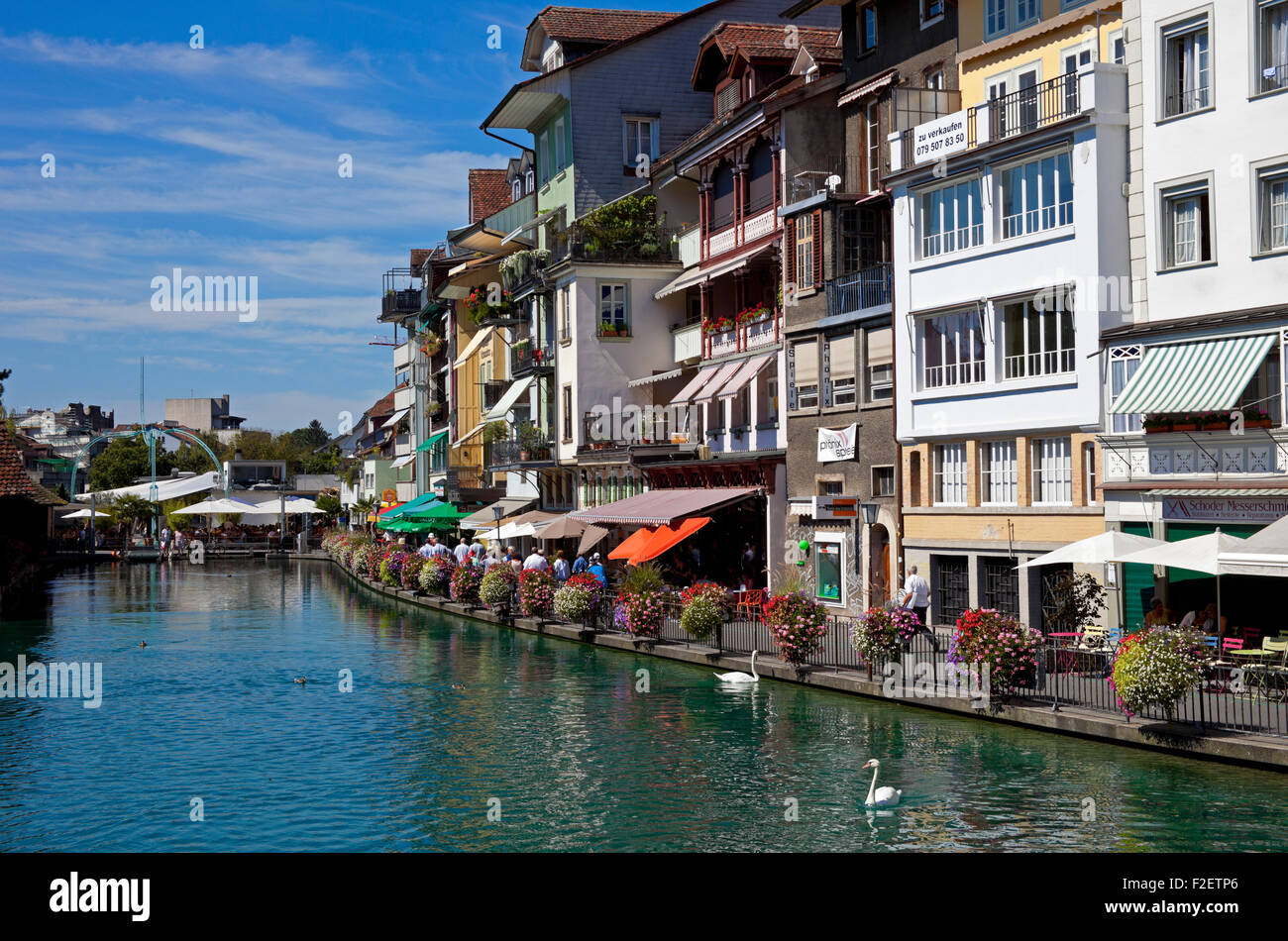 Thun Fluss Aare Kanton Bern-Schweiz-Europa Stockfoto