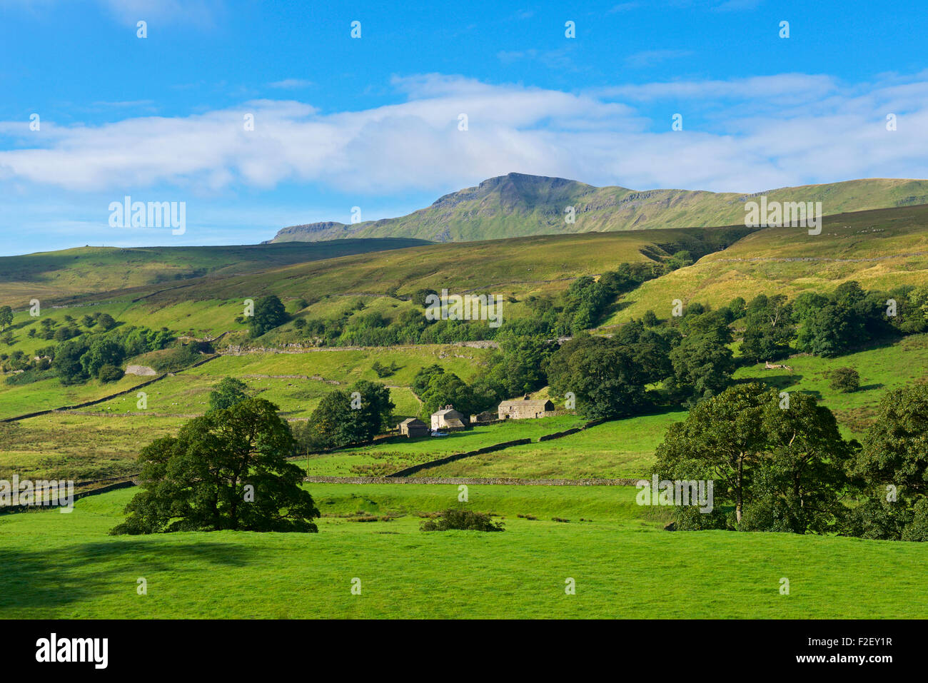 Mallerstang Tal und Wildschwein fiel, Cumbria, England UK Stockfoto