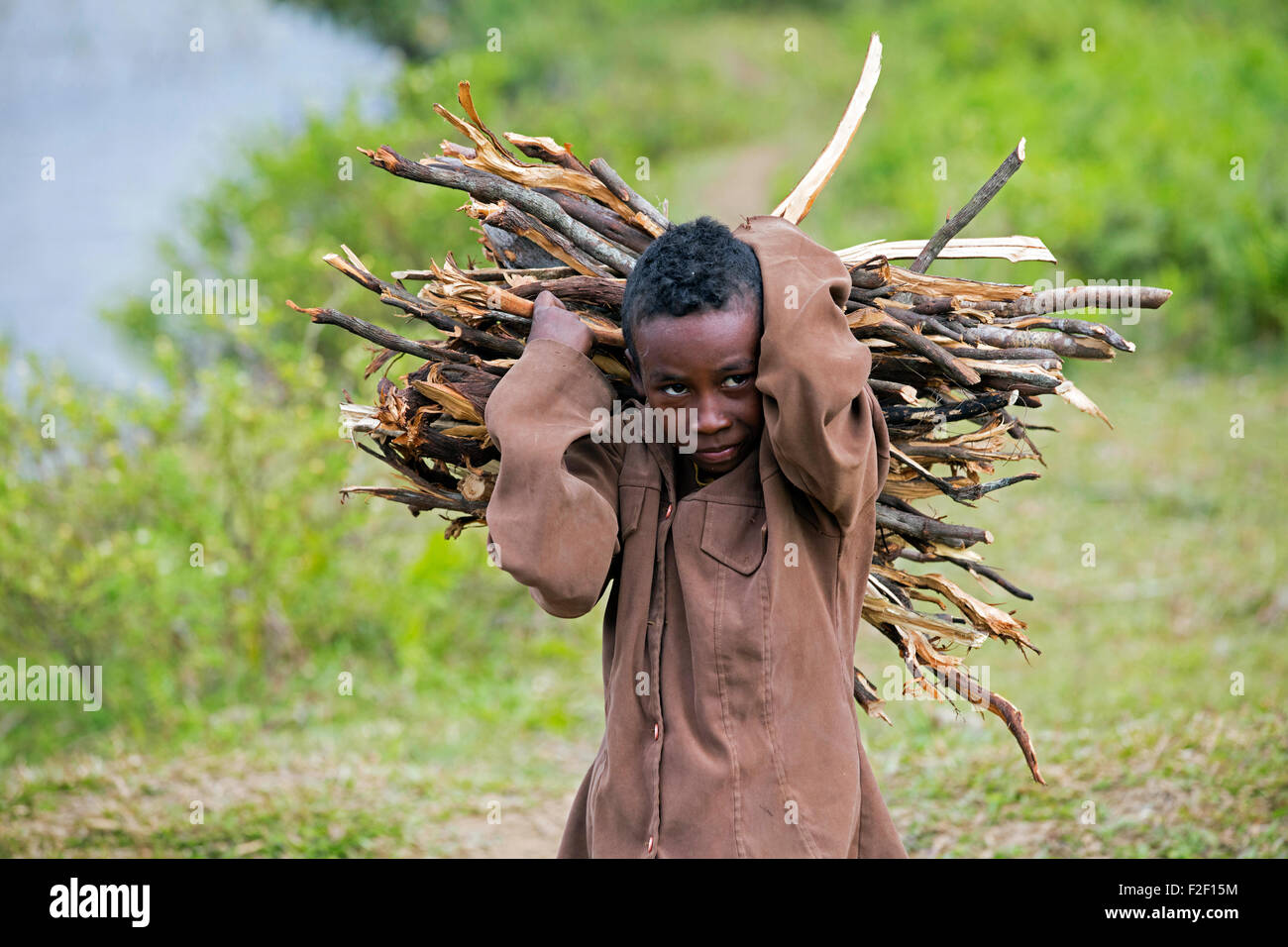 Porträt des madagassischen Kind tragen Bündel Brennholz auf seinen Rücken, Vatovavy-Fitovinany, Madagaskar, südöstlichen Afrika hautnah Stockfoto