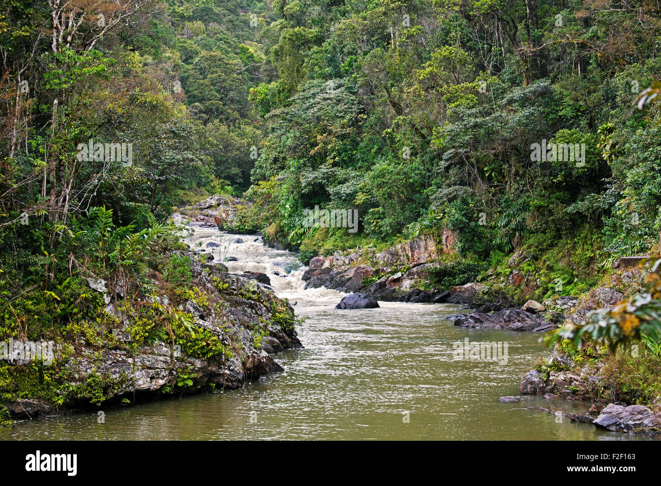 Fluss, der durch den tropischen Regenwald von Ranomafana Nationalpark, Haute Matsiatra, Madagaskar, Südostafrika Stockfoto