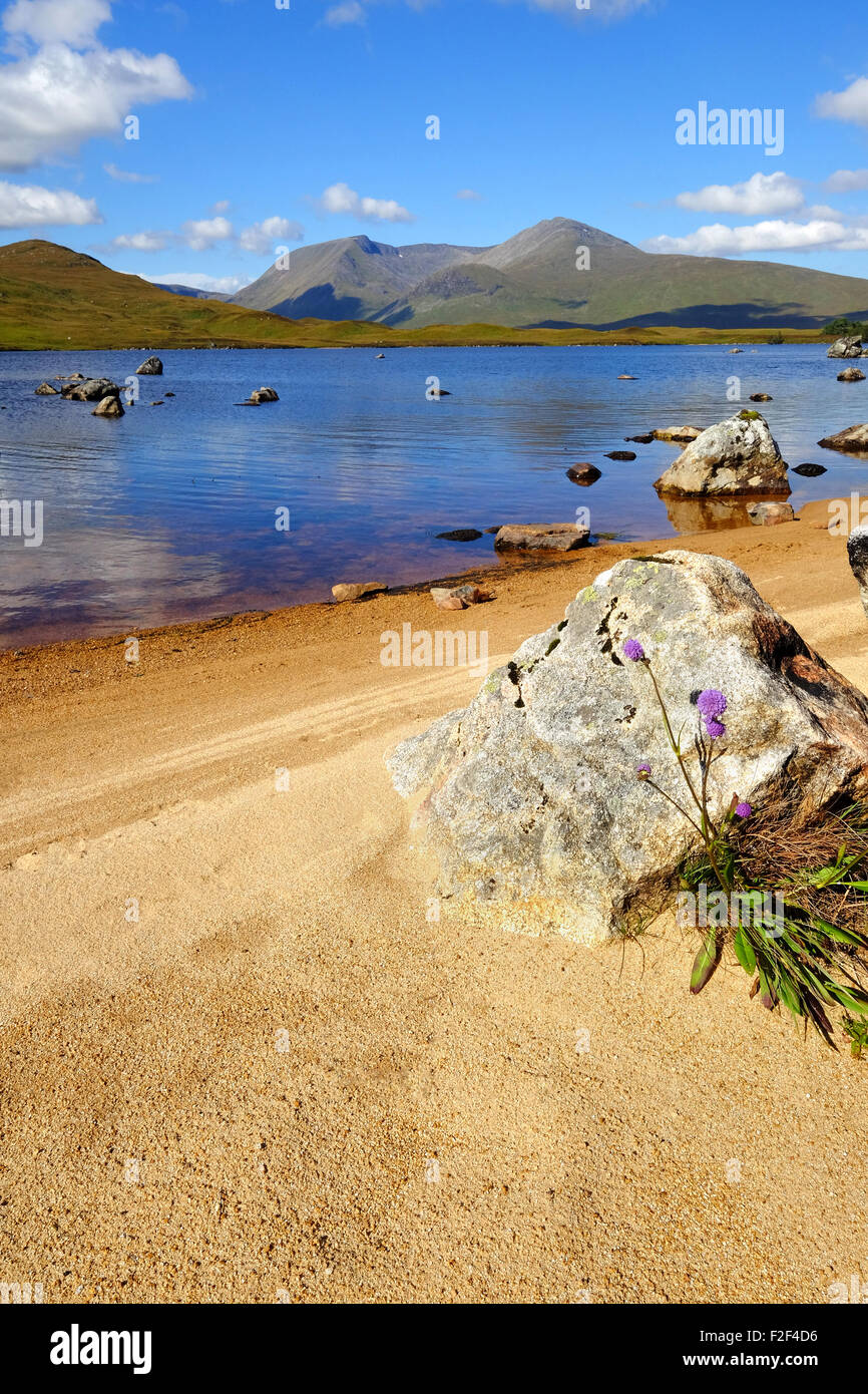 Kleines Loch/lochan auf Rannoch Moor, West Highlands, Schottland Stockfoto