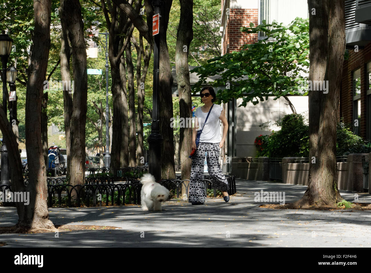 Eine Frau, Spaziergang mit ihrem Hund in Battery Park City, einer Nachbarschaft in Manhattan, New York City. Stockfoto